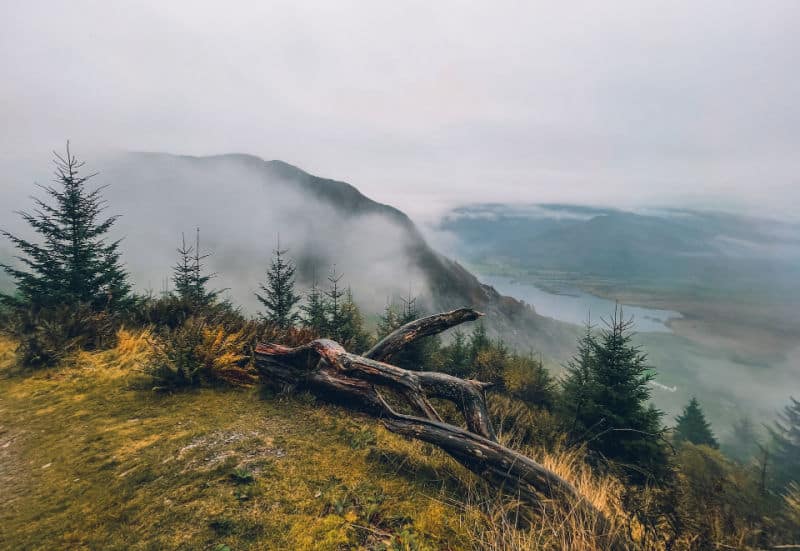 The British landscape the Action For Conservation environmental charity wants to protect.