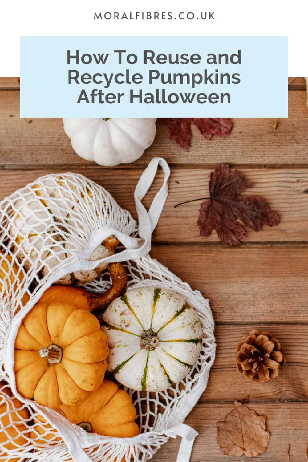 Pumpkins in a string market bag with a blue text box that reads how to reuse and recycle pumpkins after Halloween.