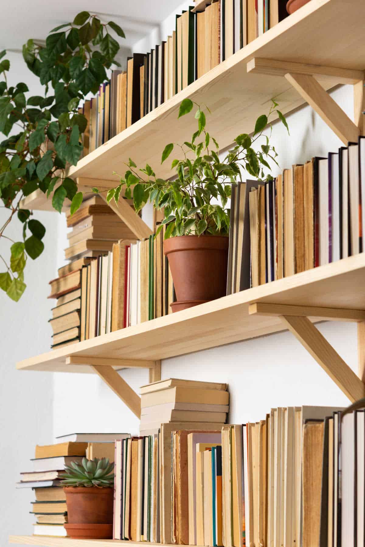 What To Do With Outdated Books In The UK – Your Eco Selections